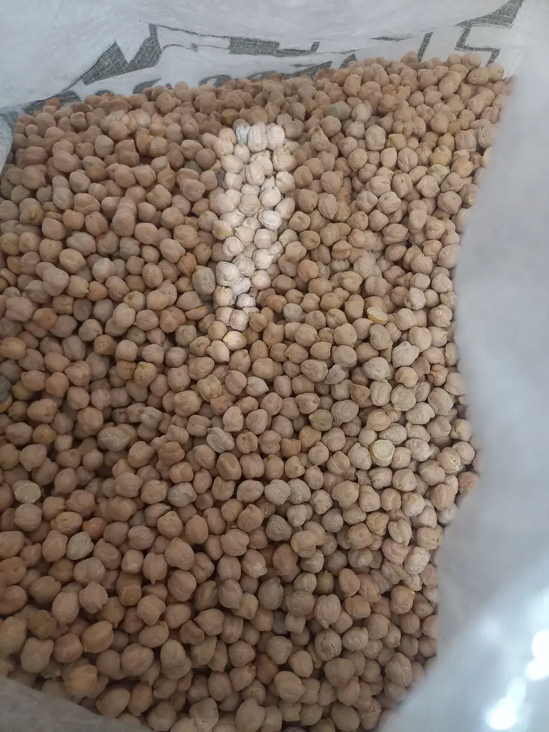 نخود|خوردنی و آشامیدنی|چگنی, |دیوار