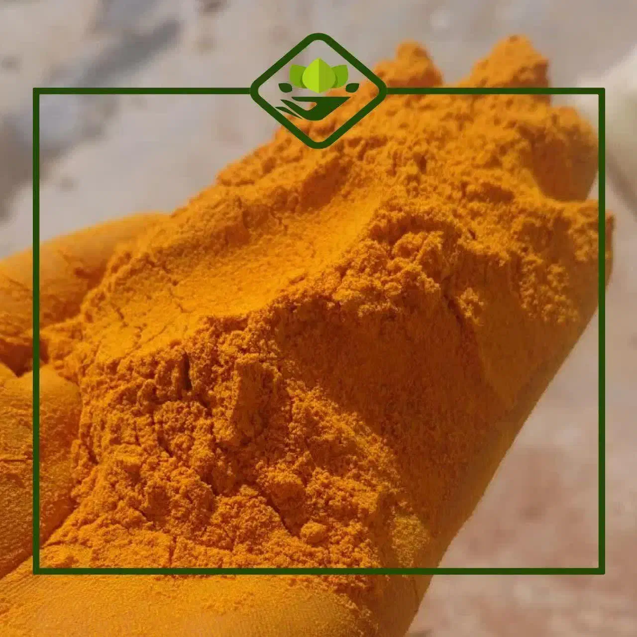 فلفل قرمز زنجبیل دارچین انواع ادویه|عمدهفروشی|رامسر, |دیوار