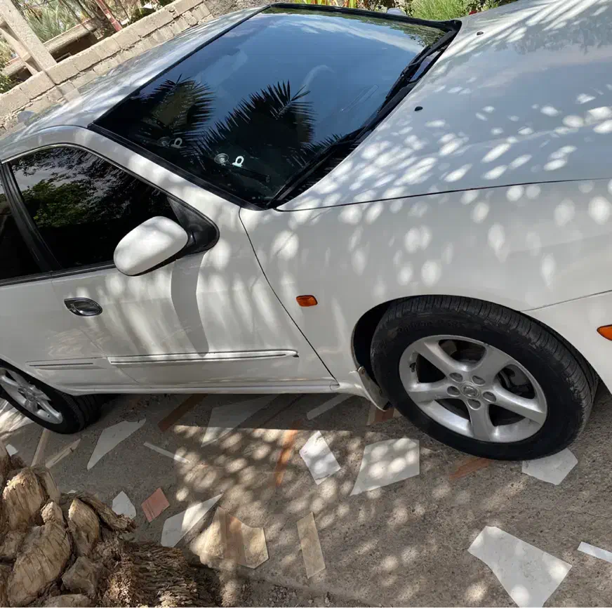 ماکسیما ۸۸|خودرو سواری و وانت|کرمان, |دیوار