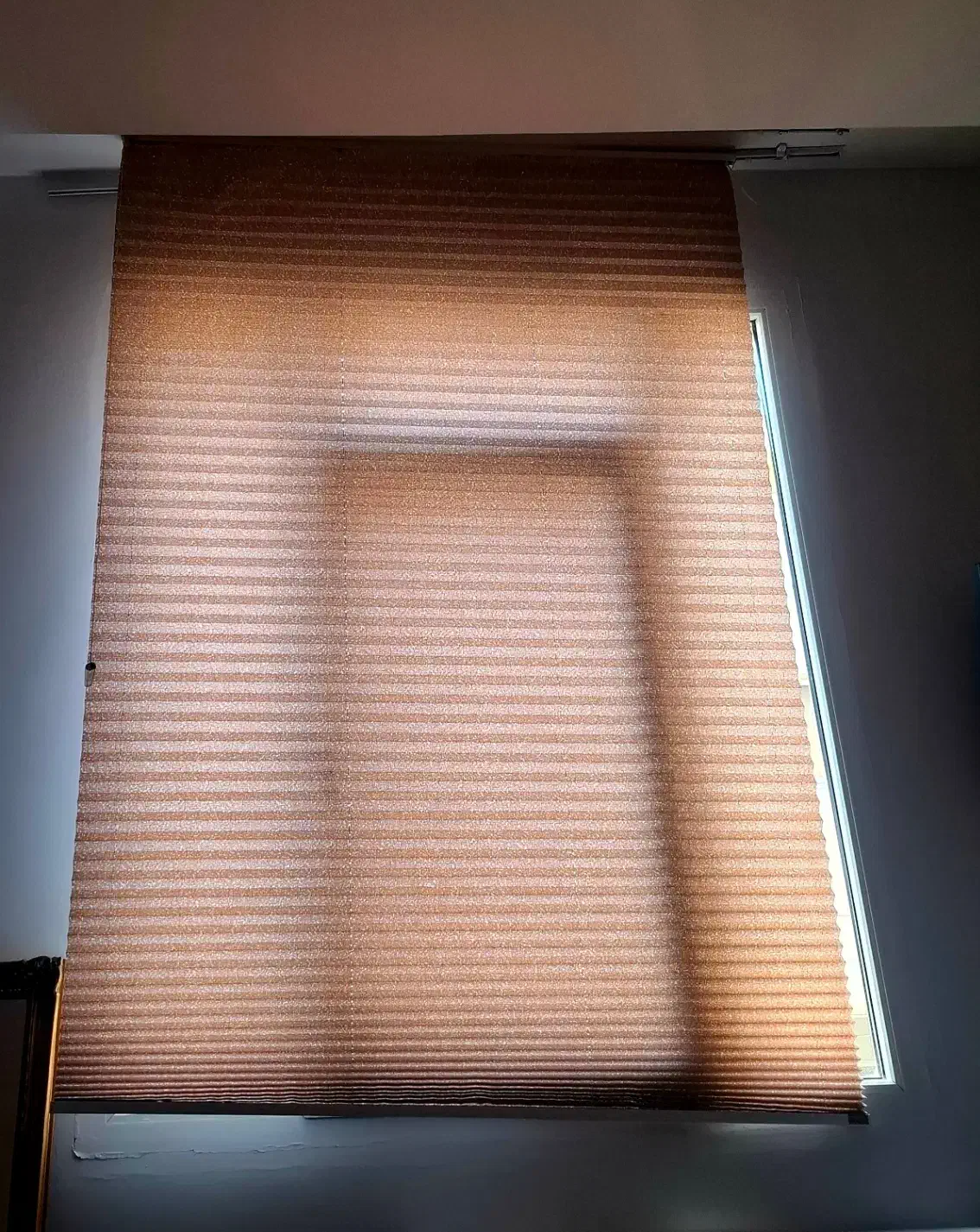 پرده|پرده، رانر، رومیزی|تهران, ارم|دیوار