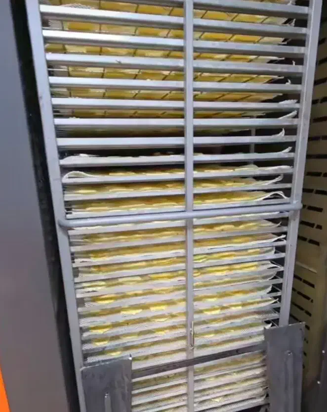 پر سرعت ترین دستگاه خشک کن میوه صنعتی توربینی 1200|ماشین‌آلات صنعتی|تهران, بازار|دیوار