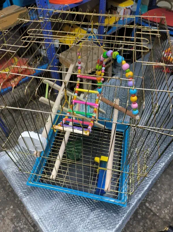 قفس بزرگ فانتزی|لوازم جانبی حیوانات|اصفهان, جوزدان الیادران|دیوار