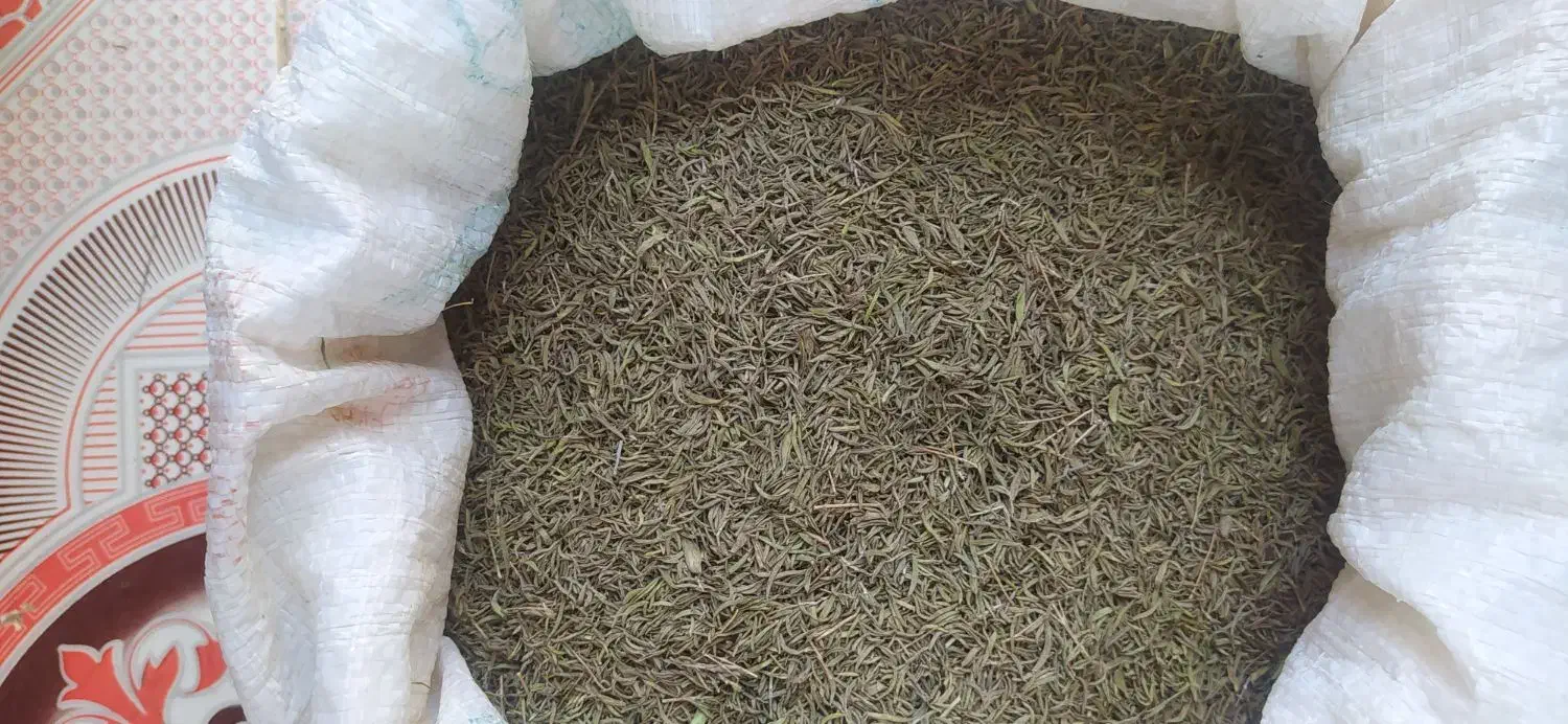 اویشن، بادام تلخ، لوبیا|حراج|لردگان, |دیوار