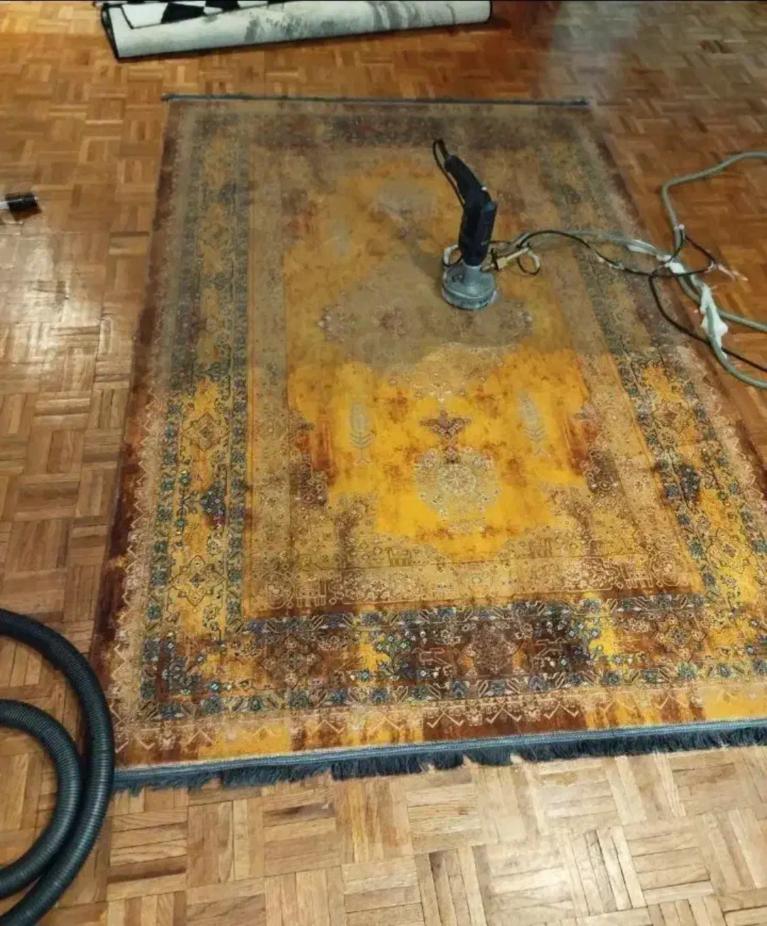 مبل شویی .قالیشویی .شستشوی انواع خوشخواب موکت شویی|خدمات نظافت|بندرعباس, |دیوار