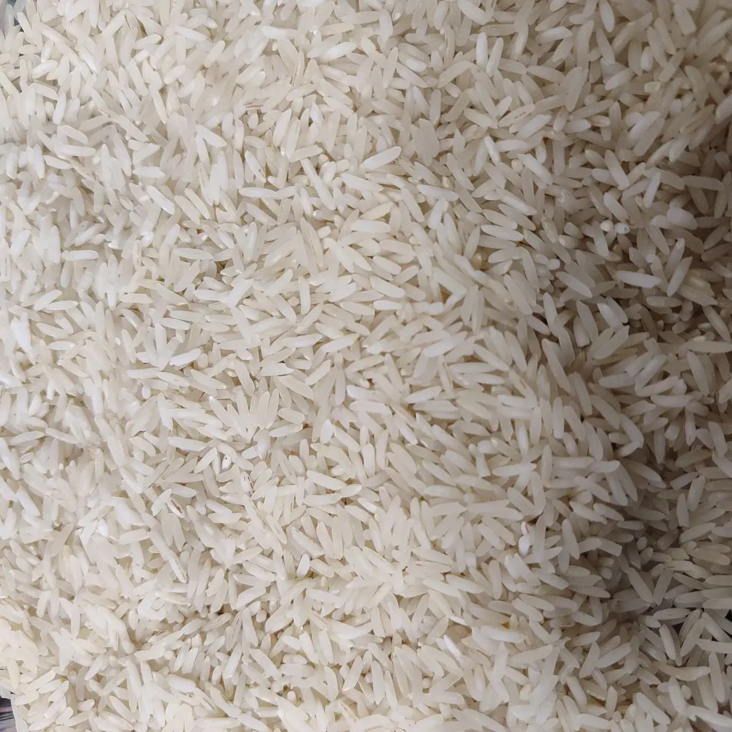 پخش فروش عمده زعفران قاعنات و برنج طارم و هاشمی|خوردنی و آشامیدنی|قرچک, زیبا شهر|دیوار