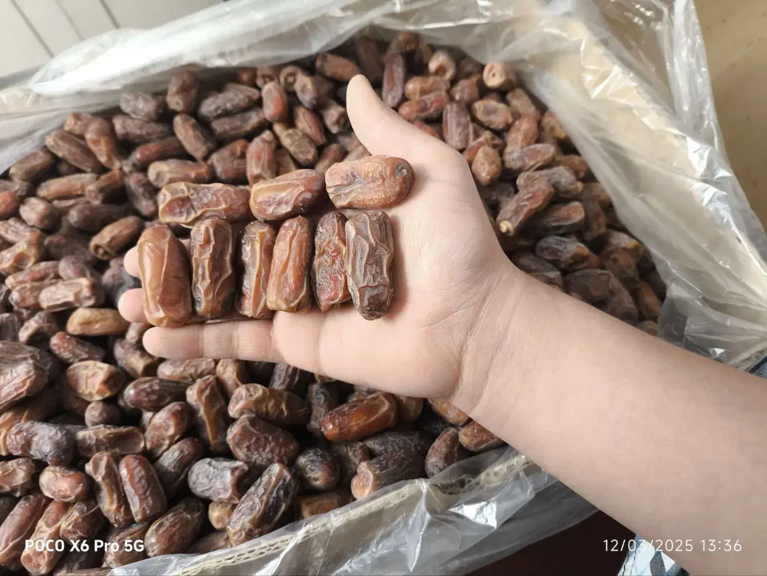 خرما پیارم درجه ۲ پستایی|خوردنی و آشامیدنی|تهران, سازمان برنامه جنوبی|دیوار