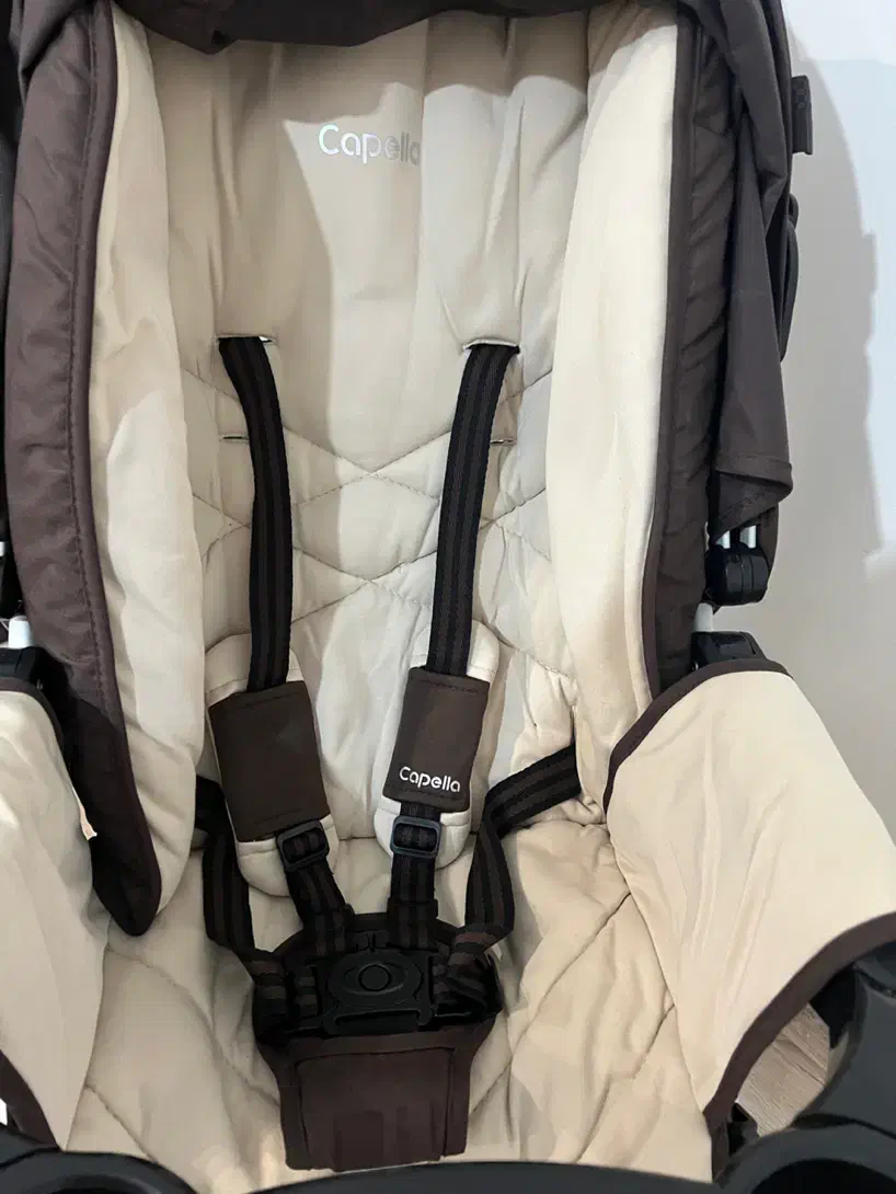 کالسکه عصایی، کریر و کیف کاپلا و رورویک دلیجان|کالسکه و لوازم جانبی|تهران, سعادت‌آباد|دیوار