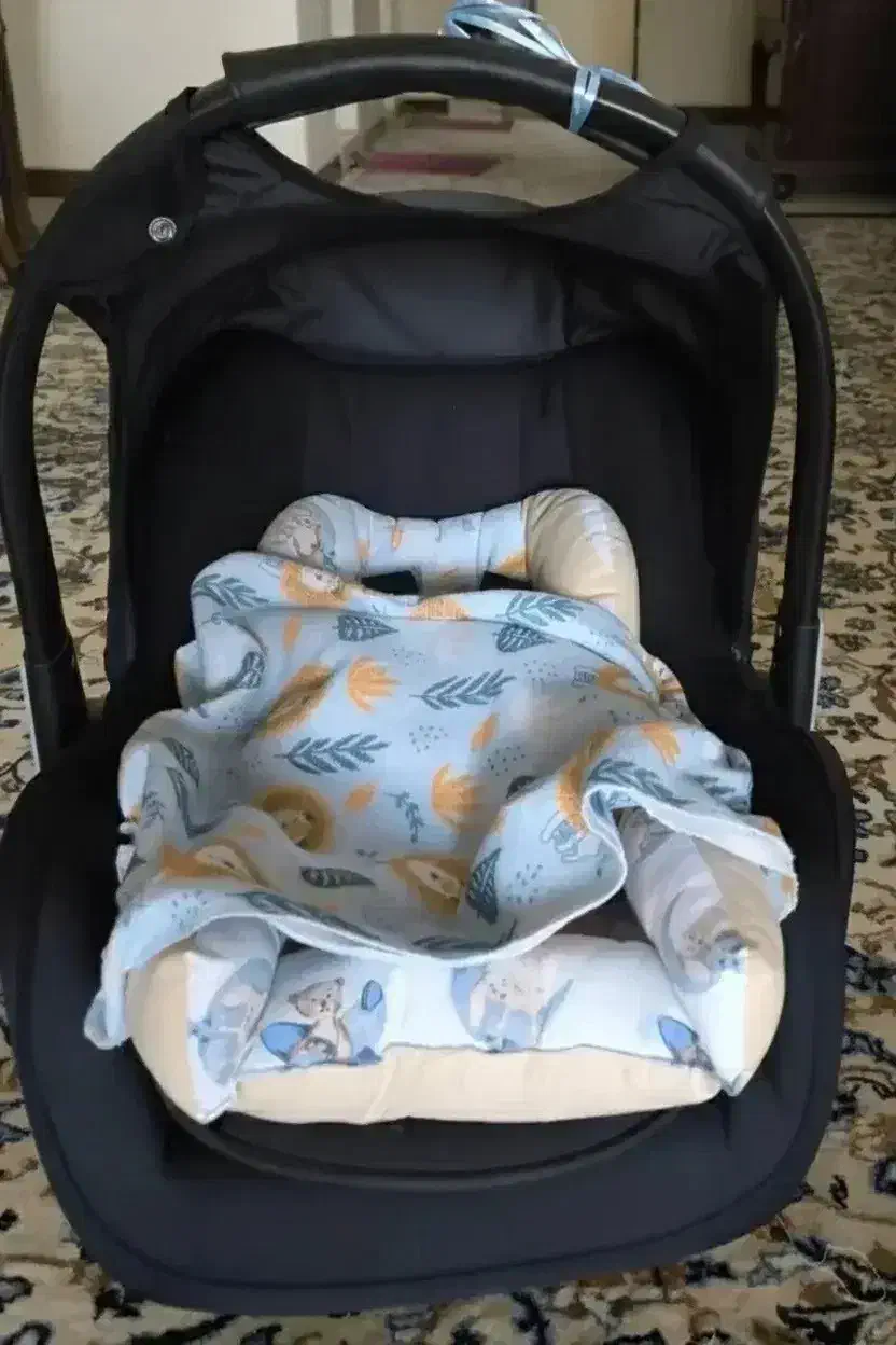 کریر Delijan Fly  در حد نو + ۲ تشکچه دست‌دوز هدیه|کالسکه و لوازم جانبی|تهران, آشتیانی|دیوار