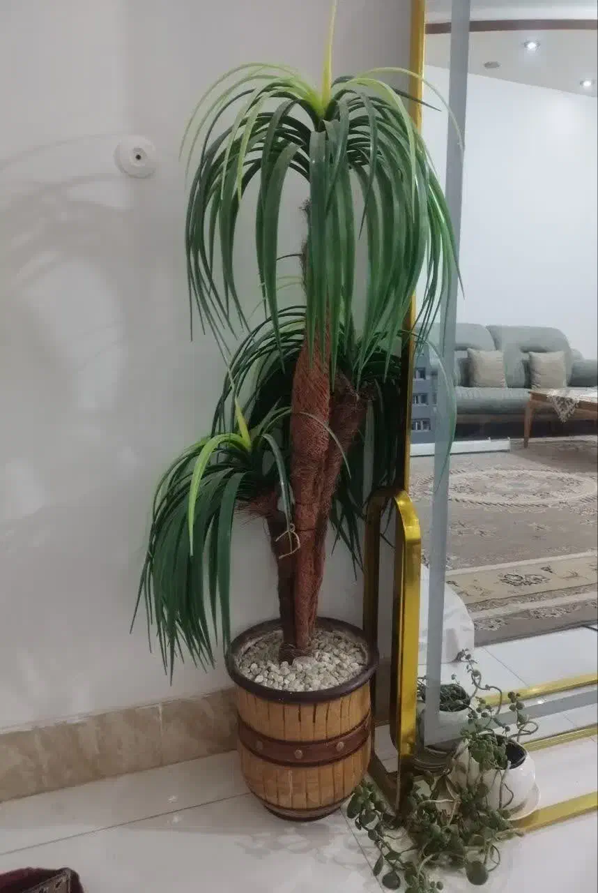 گل نخلی|گل مصنوعی|فسا, |دیوار