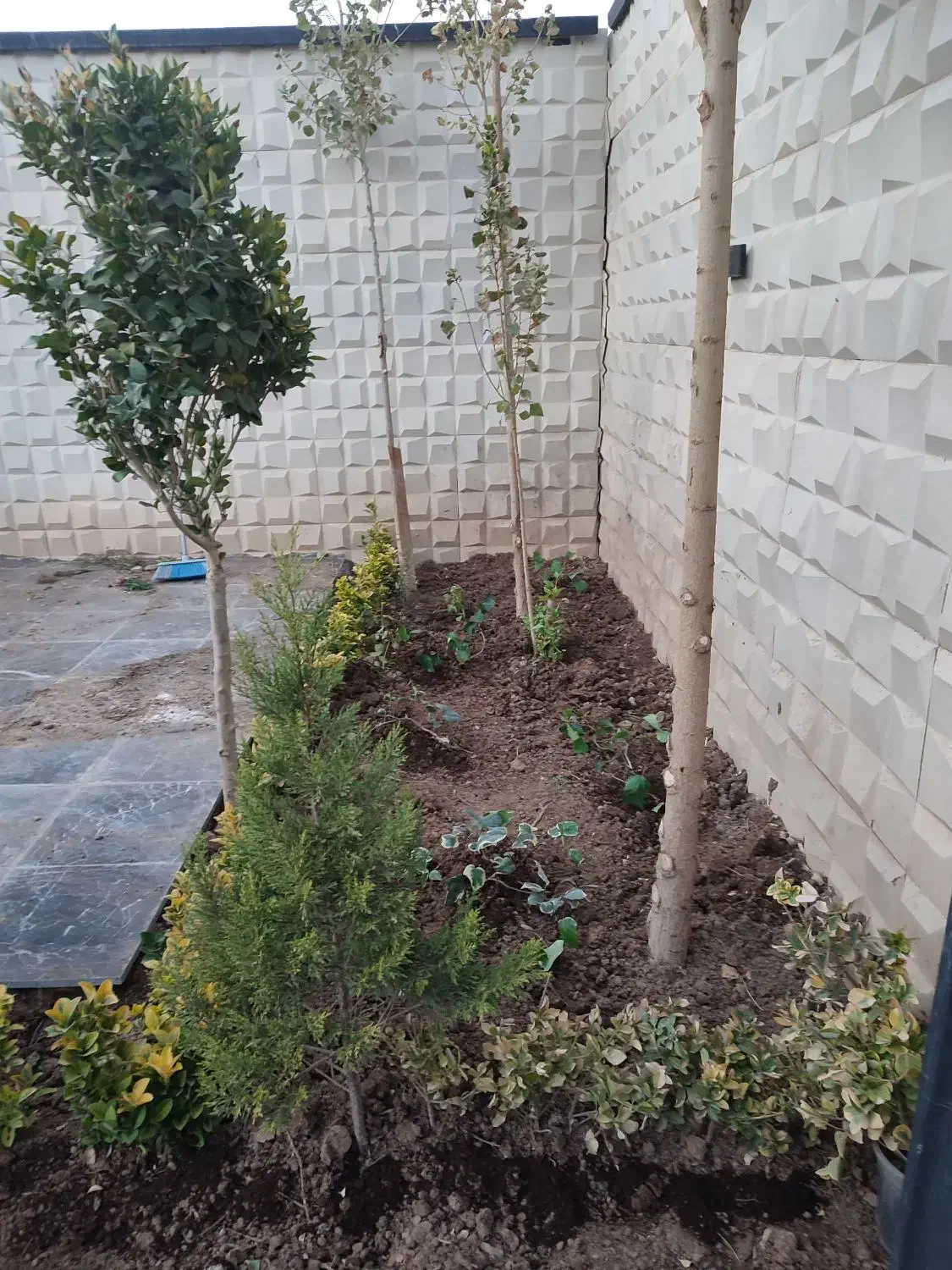 انواع خدمات باغبانی و فضای سبز|خدمات باغبانی و درختکاری|رامجین, |دیوار