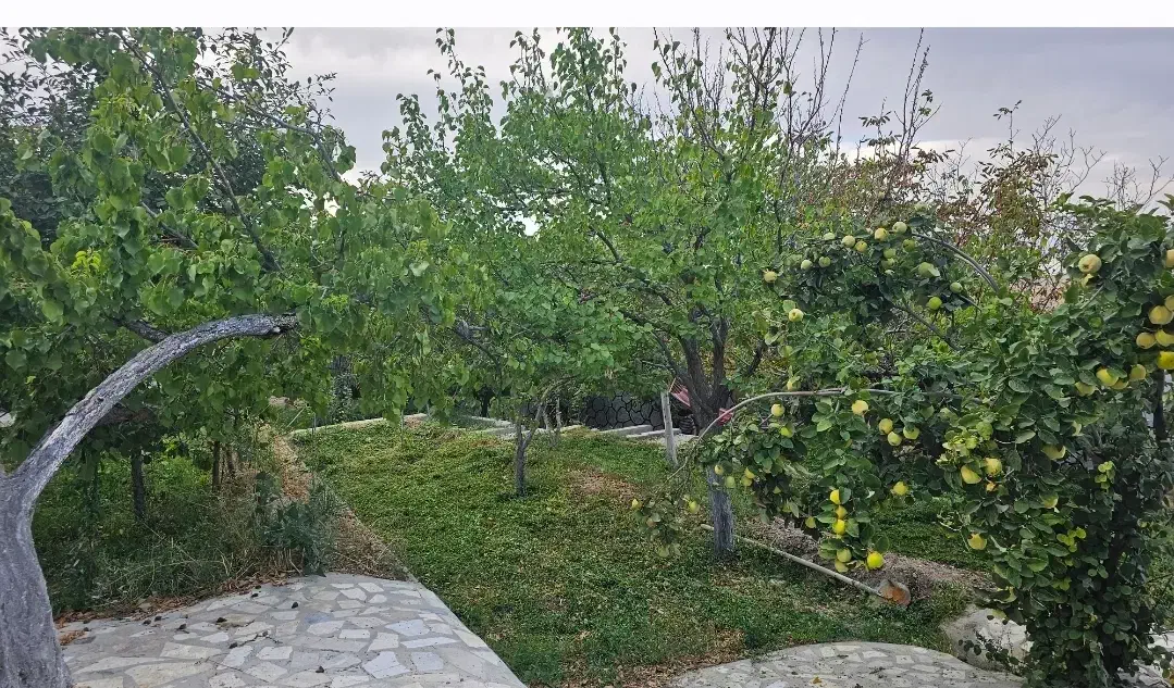 باغ دنج و آرامش بخش در اسکو|فروش خانه و ویلا|اسکو, |دیوار