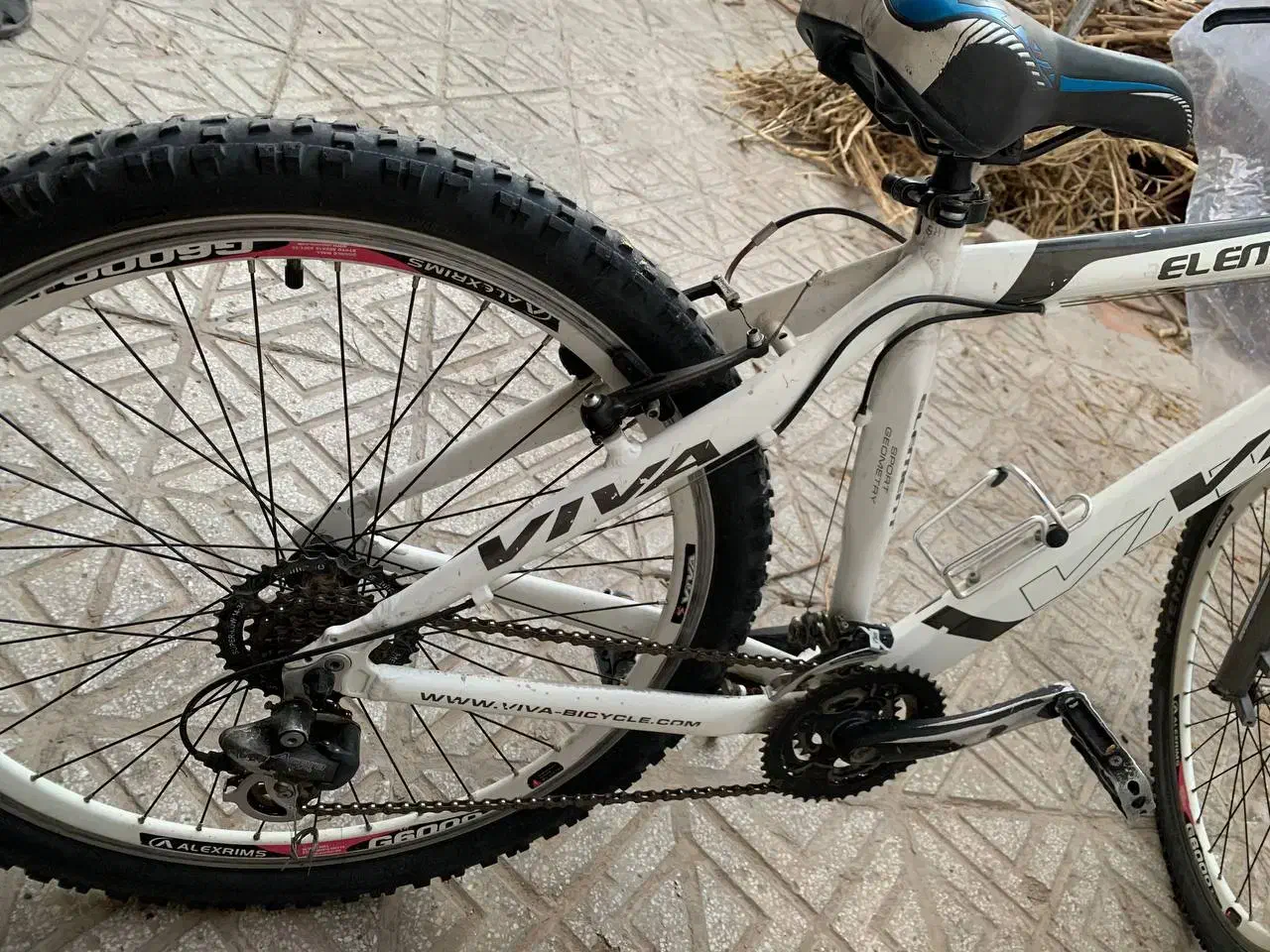 دوچرخه viva|دوچرخه، اسکیت، اسکوتر|بیرجند, |دیوار