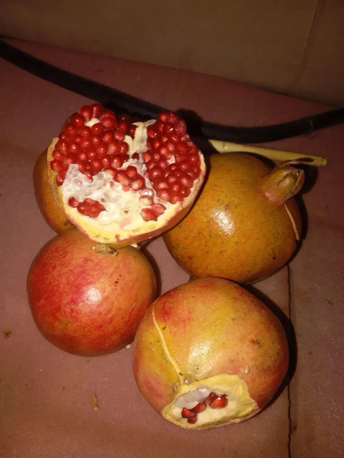 انار دون سیاه|خوردنی و آشامیدنی|شریفآباد, |دیوار