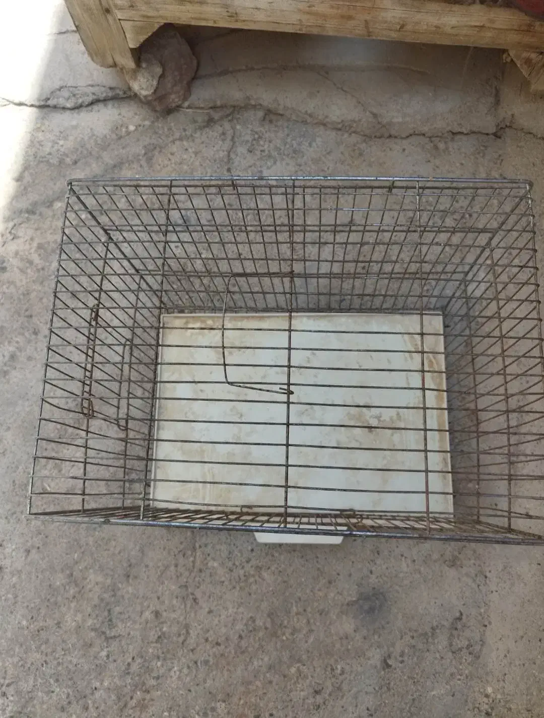 فروش قفس|لوازم جانبی حیوانات|سقز, |دیوار