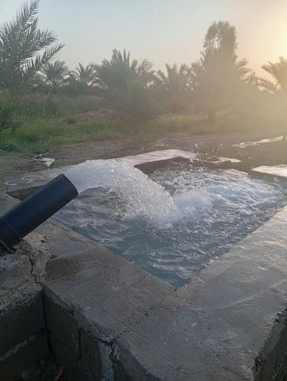 یک هکتار زمین کشاورزی خوش قیمت عنبرآباد|فروش دفتر صنعتی، کشاورزی، تجاری|عنبرآباد, |دیوار