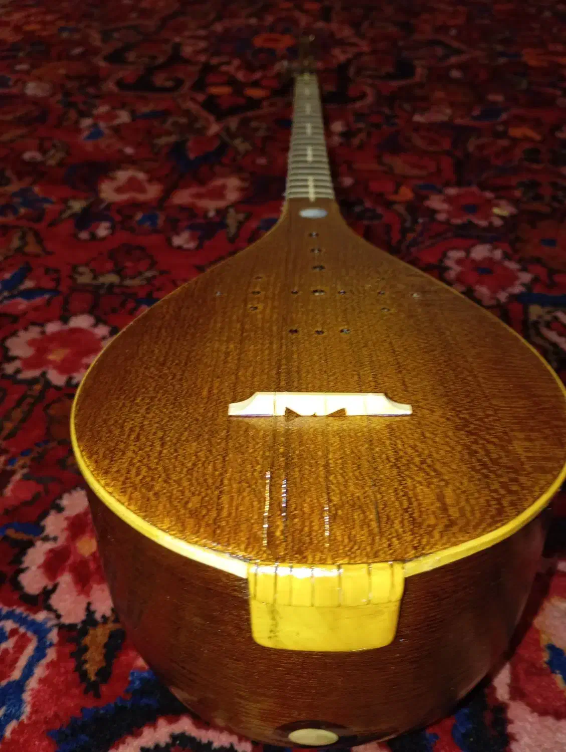 س تار کد۰۰۲|سازهای سنتی|اهواز, گلستان|دیوار