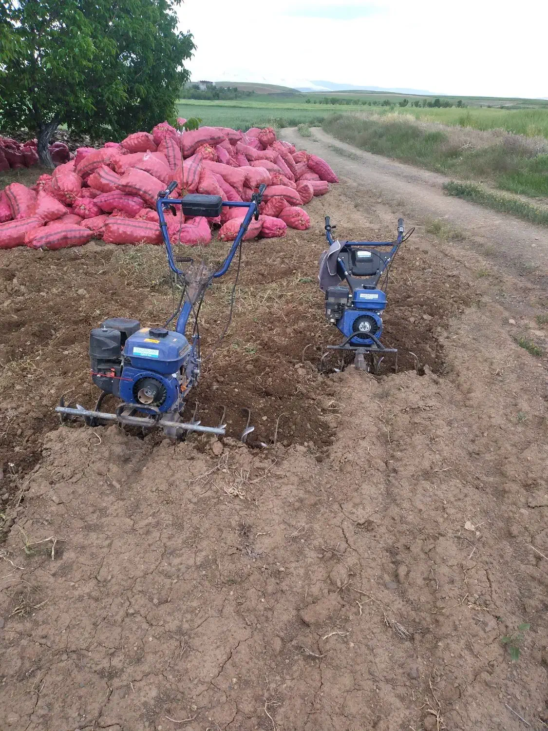 کار با تیلر|خدمات باغبانی و درختکاری|سنقر, |دیوار