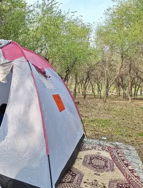 چادر مسافرتی ۸ نفره مدل عصایی|کوهنوردی و کمپینگ|اهواز, کوی ملی راه|دیوار