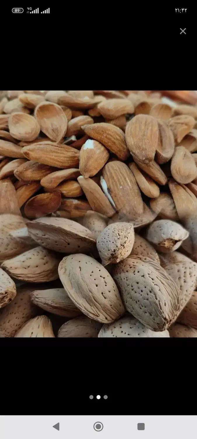 فروش بادام مامایی|عمده‌فروشی|صمصامی, |دیوار