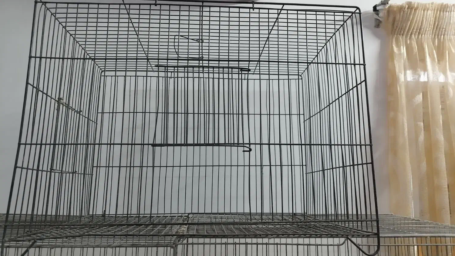 قفس پرنده|لوازم جانبی حیوانات|سبزوار, پیام|دیوار