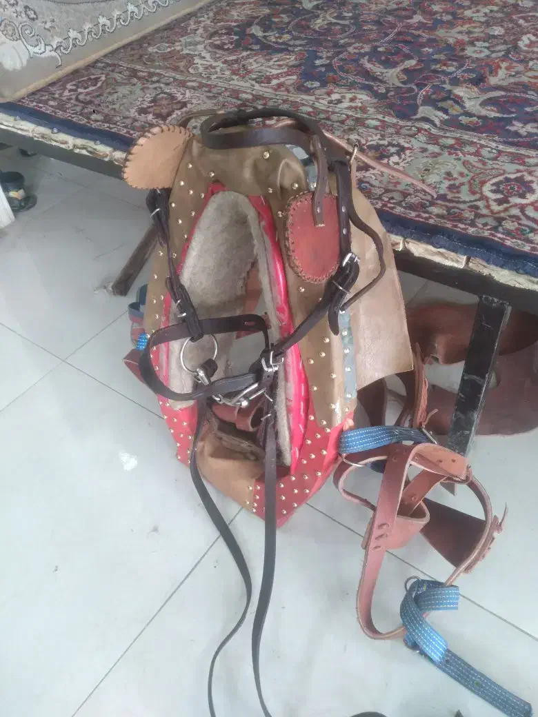 اساس کالسکه درشکه|اسب و تجهیزات اسب‌سواری|ری, بازار آهن|دیوار