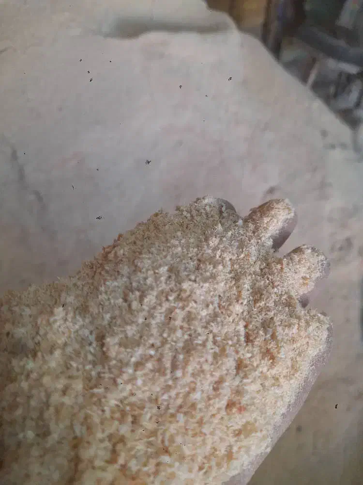 خرید وفروش پوشال چوب وخاک اره وگردو تمیز گونی شده|خدمات باغبانی و درختکاری|همدان, |دیوار