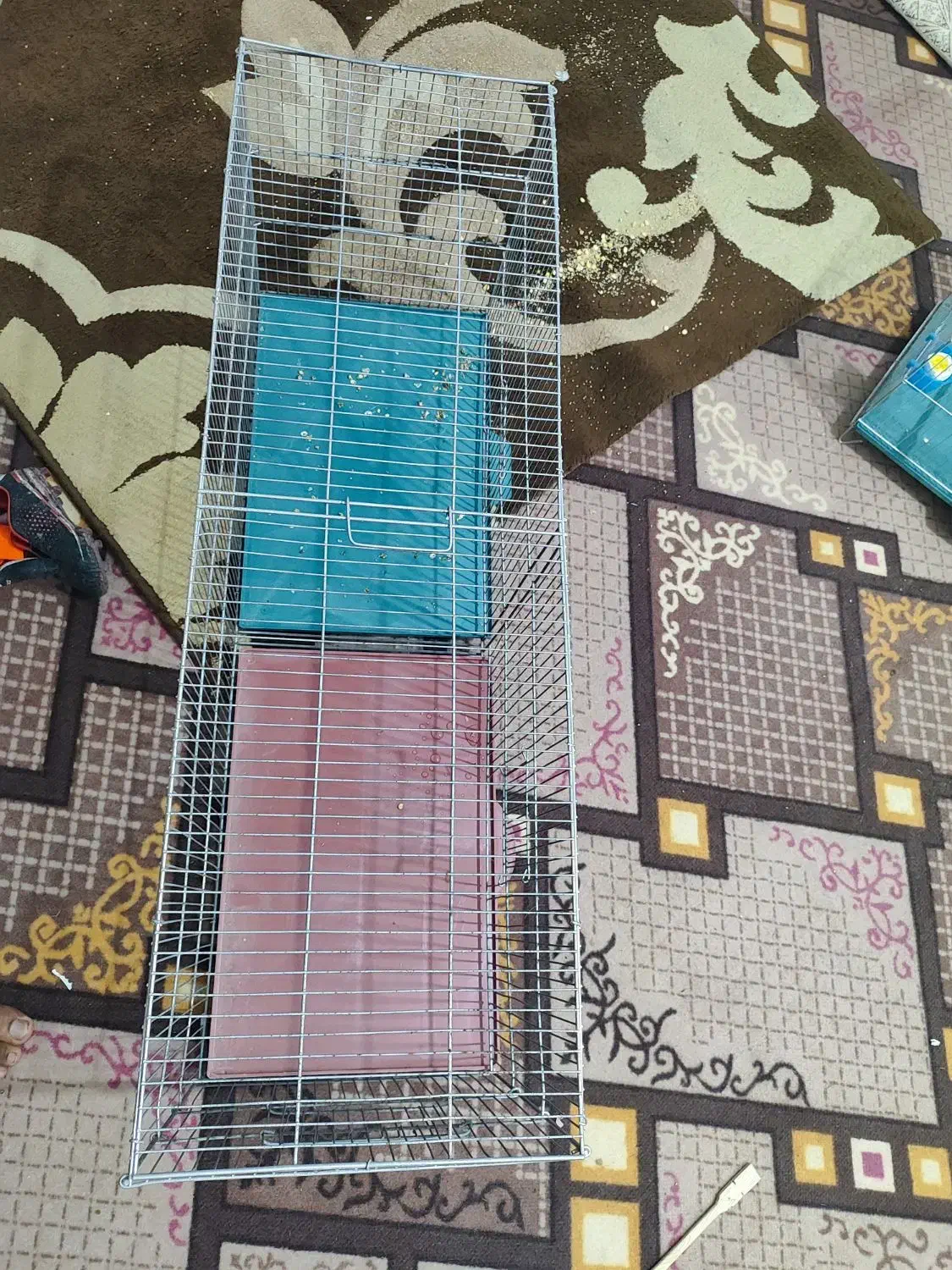 قفس جفت خان|لوازم جانبی حیوانات|بوشهر, |دیوار