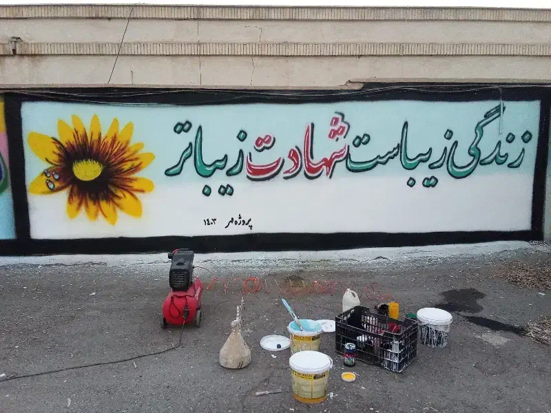 دیوار نویسی|تابلو، نقاشی، عکس|بم, |دیوار