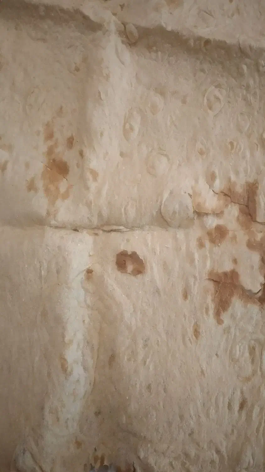 یک گروه کامل برای نانوایی خانگی|استخدام خدمات فروشگاه و رستوران|تربتحیدریه, پیشکوه|دیوار