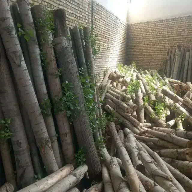 هرص و برش چوب در باقات شما عزیزان|خدمات باغبانی و درختکاری|اراک, |دیوار