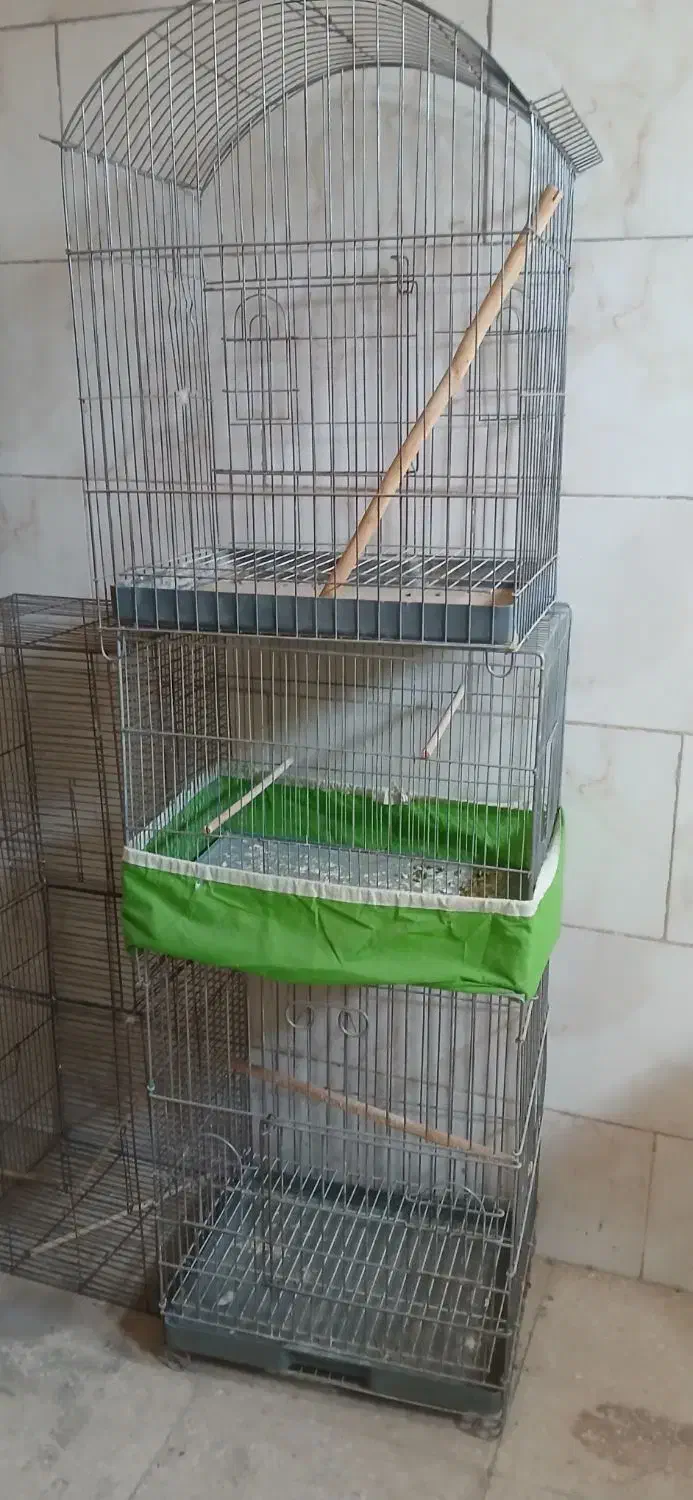 قفس چهار خان ودوتا قفس عروس تکی|لوازم جانبی حیوانات|میبد, |دیوار