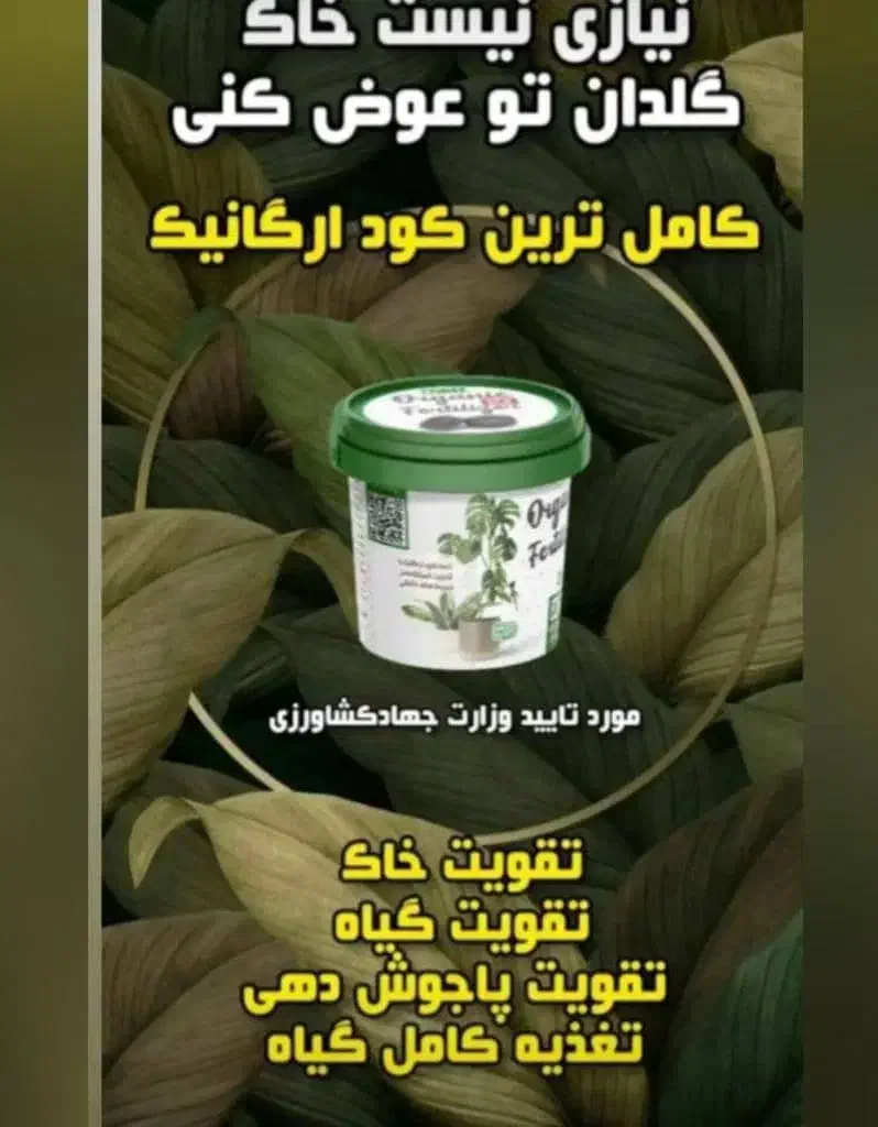 کوداورگانیگ|گل و گیاه طبیعی|شیراز, چنچنه|دیوار