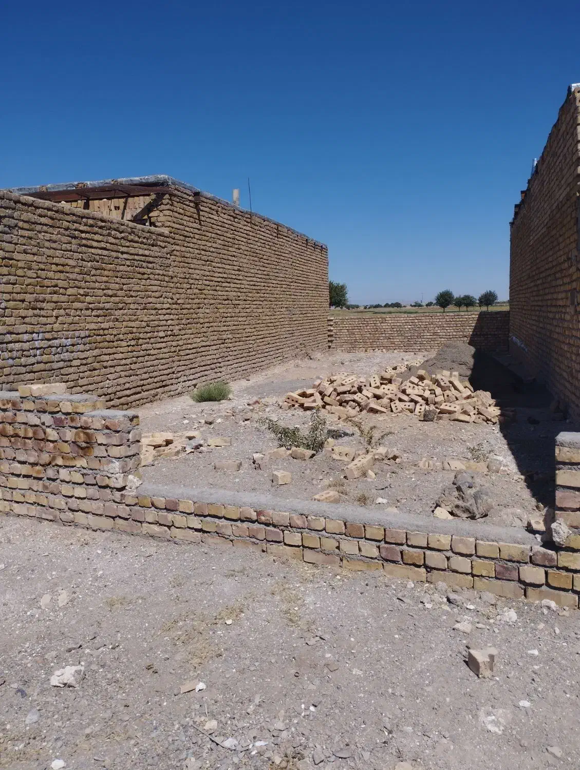 فروش زمین|فروش زمین و ملک کلنگی|تربتحیدریه, ترمینال|دیوار