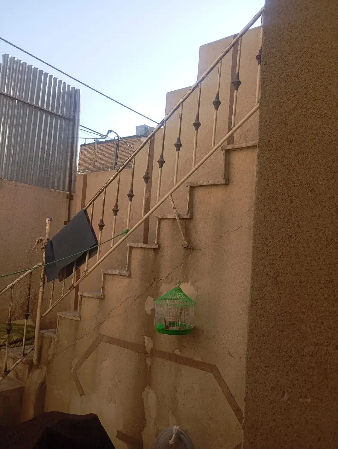 قفس فروشی|لوازم جانبی حیوانات|رضویه, |دیوار