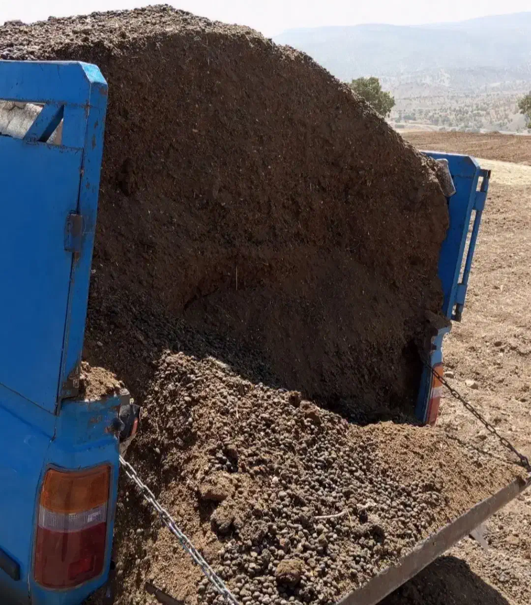 کود حیوانی پشگل|خدمات باغبانی و درختکاری|کوهدشت, |دیوار