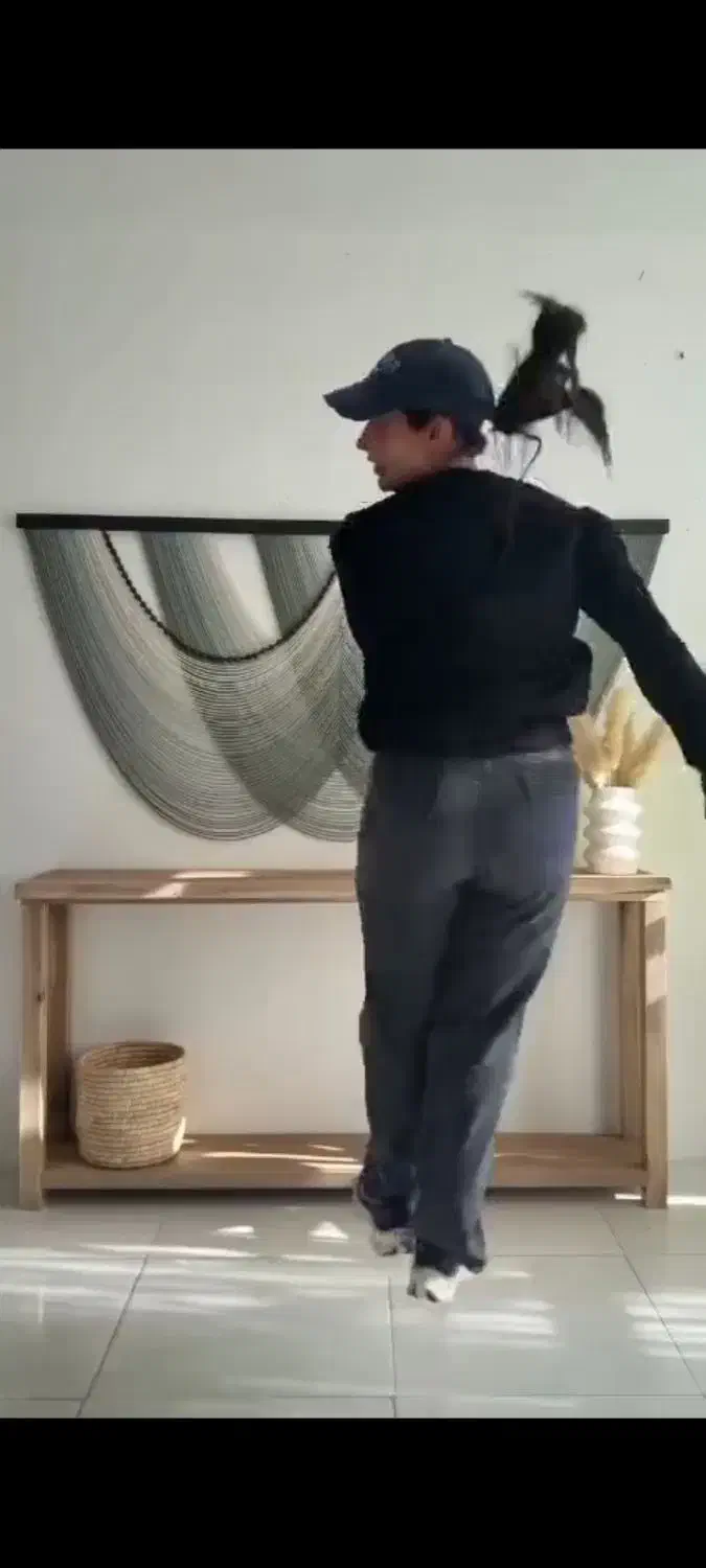 پرده|پرده، رانر، رومیزی|بندر امام خمینی, |دیوار