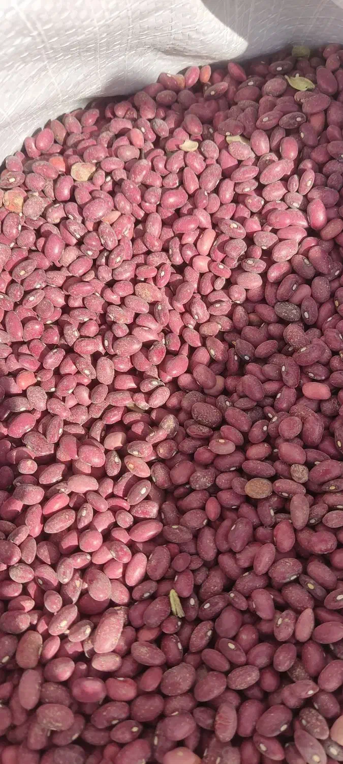 چیتی|خوردنی و آشامیدنی|پاسارگاد, |دیوار