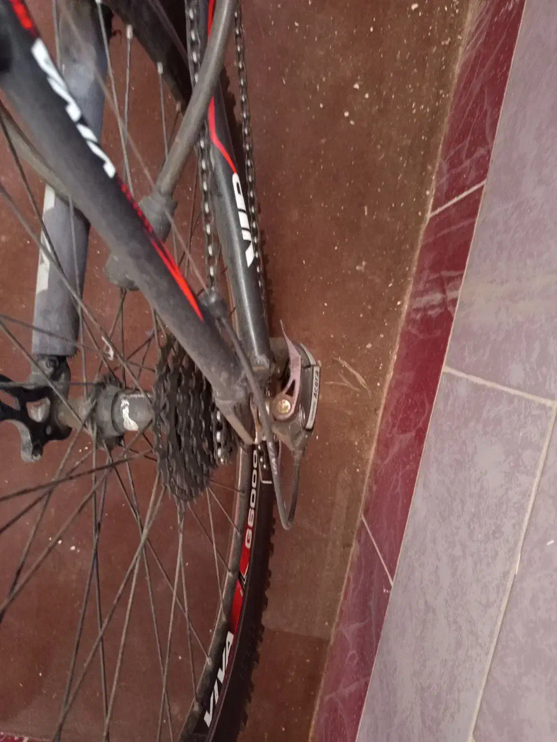 دوچرخه 26ویوا|دوچرخه، اسکیت، اسکوتر|سربیشه, |دیوار