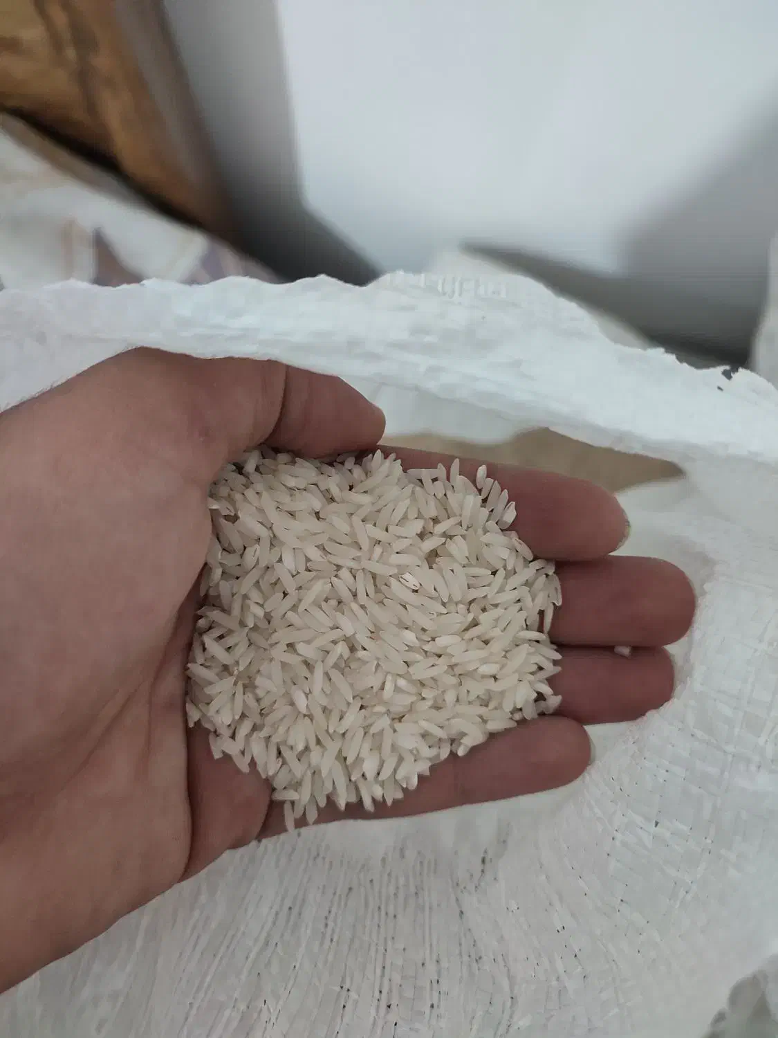 برنج فروشی|خوردنی و آشامیدنی|سنگر, |دیوار