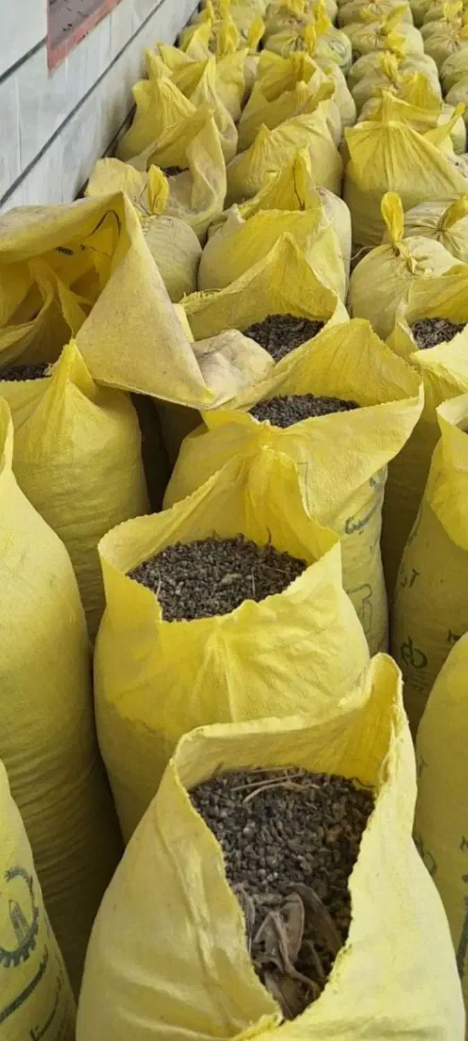 فروشی گورچین کود دارم کبوتر ر دارم|لوازم جانبی حیوانات|بناب, |دیوار