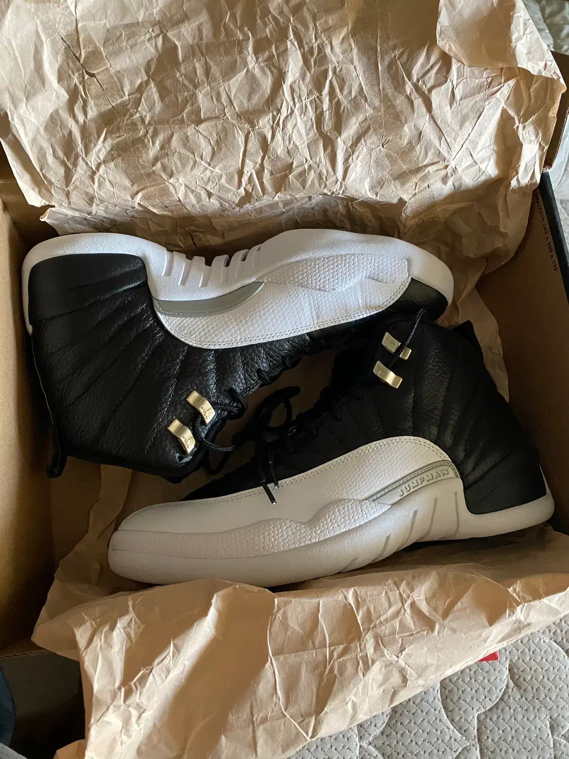 Air jordan 12|کیف، کفش، کمربند|تهران, آسمان|دیوار