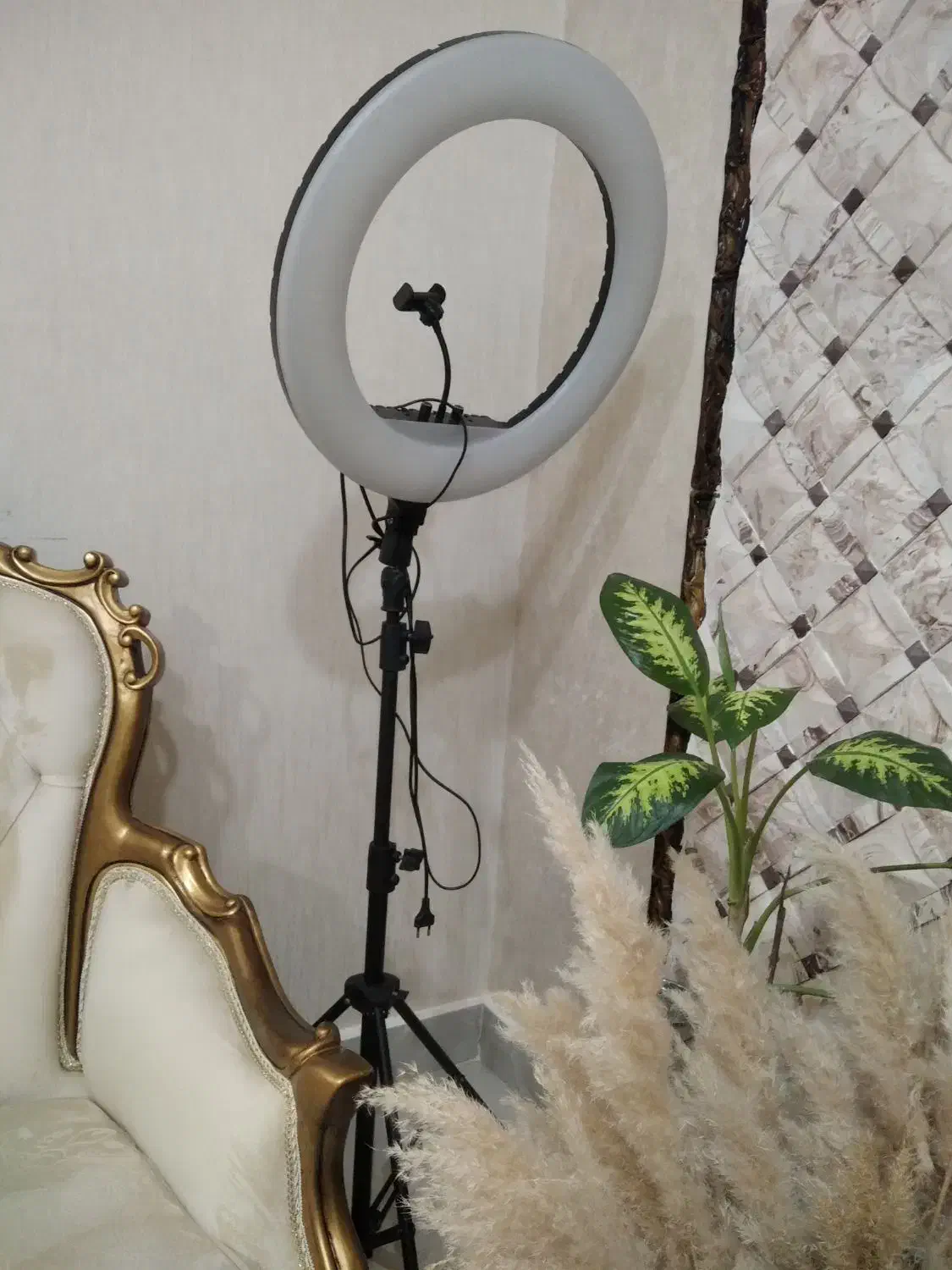 رینگ لایت سایزبزرگ و پرنور|لامپ و چراغ|گرگان, |دیوار