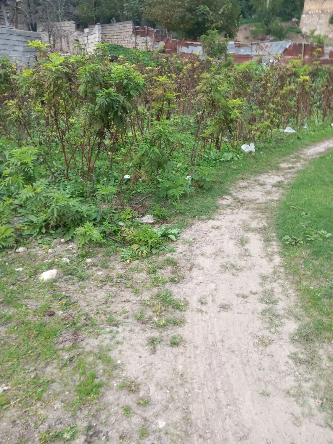 زمین در روستا|فروش زمین و ملک کلنگی|زیرآب, |دیوار