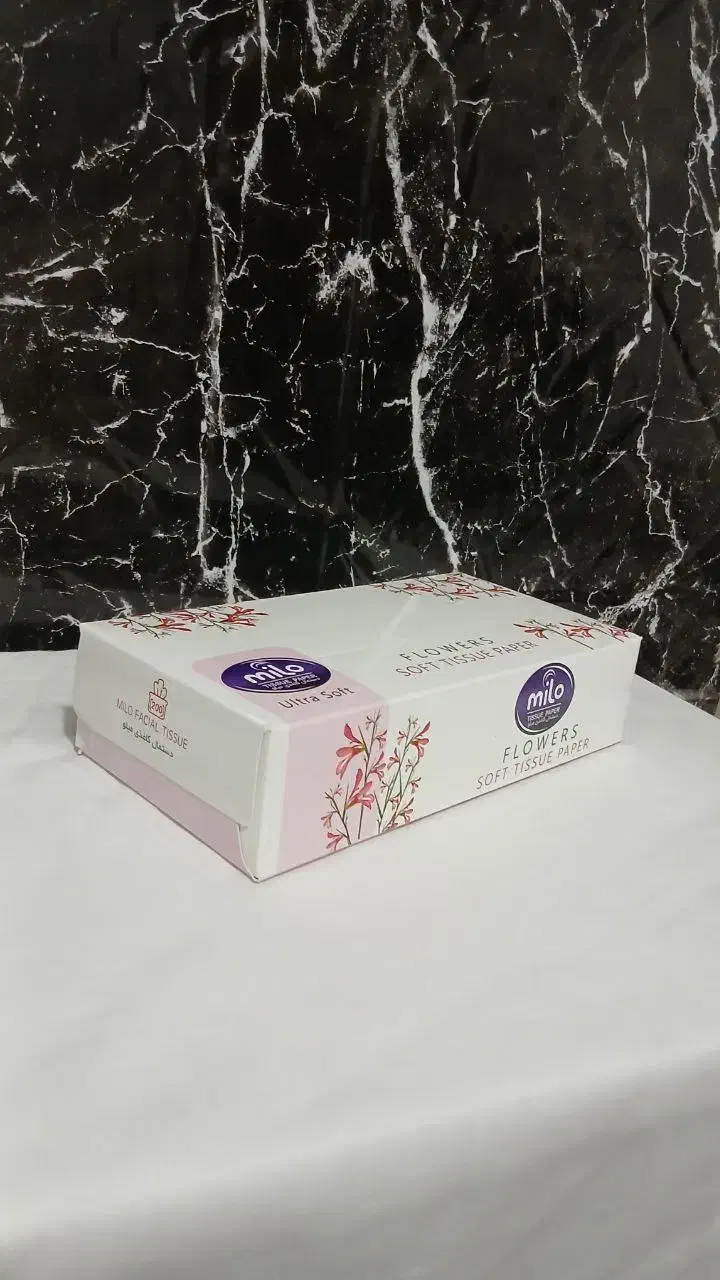 جعبه دستمال کاغذی مخصوص تالاری|مواد شوینده و دستمال کاغذی|مشهد, شهید قربانی|دیوار