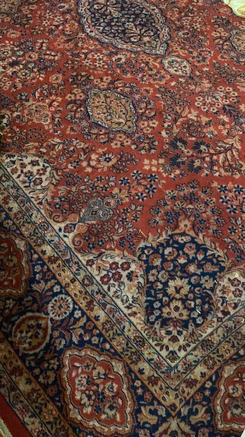 فرش دستباف|فرش|زاهدان, |دیوار