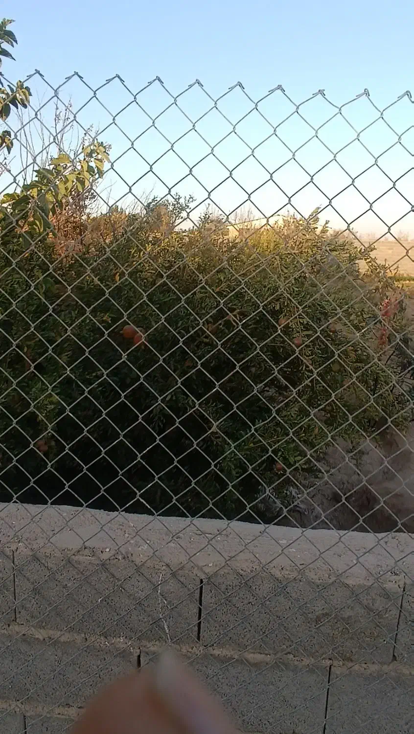 باغ|فروش زمین و ملک کلنگی|برخوار, |دیوار