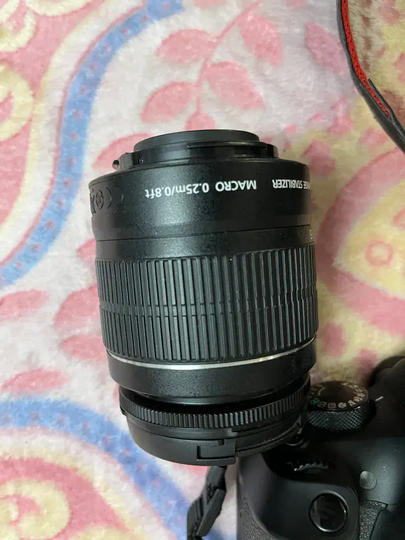 دوربین کانن|دوربین عکاسی و فیلم‌برداری|قم, امامزاده ابراهیم|دیوار