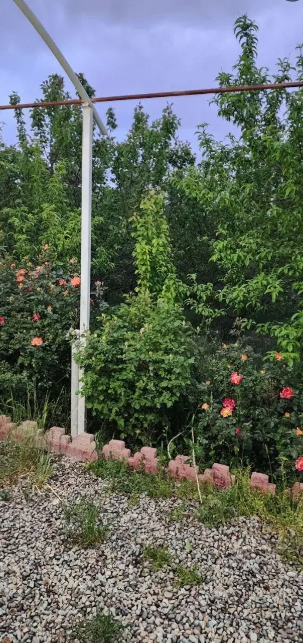 اجاره روزانه ویلا ماهدشت(کرج)|اجارهٔ کوتاه‌مدت ویلا و باغ|ماهدشت, |دیوار