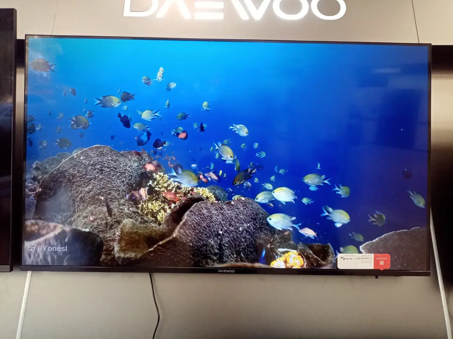 فروش ویژه تلویزیون های دوو|تلویزیون و پروژکتور|مهاباد (آذربایجان غربی), |دیوار