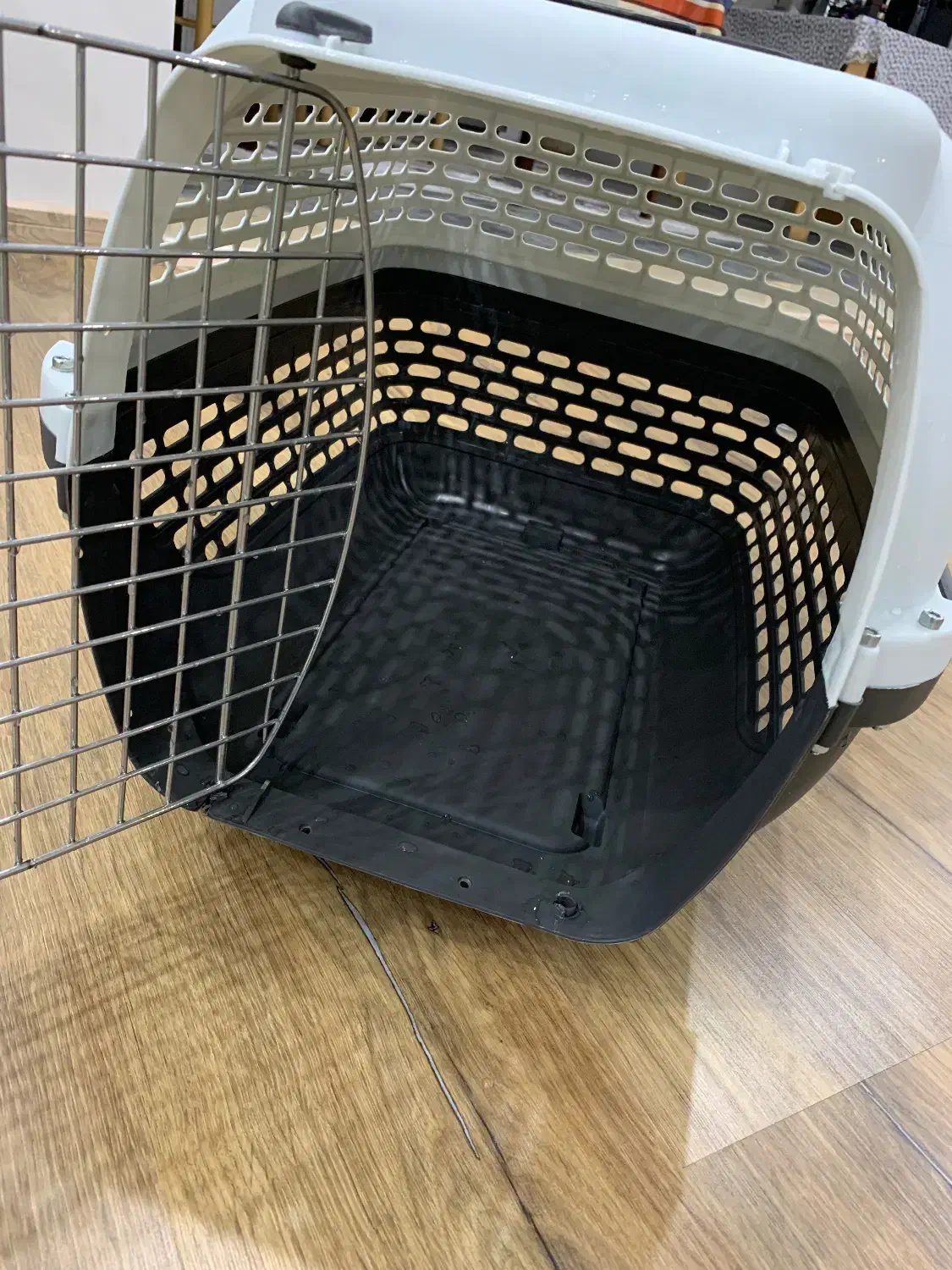 باکس حمل سگ و گربه|لوازم جانبی حیوانات|ماکو, |دیوار